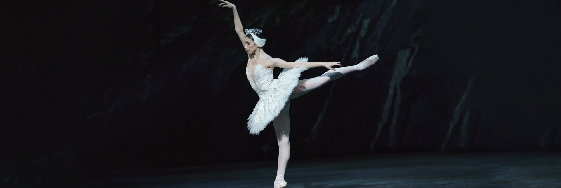 Royal Ballet 2023/24 Season: Swan Lake