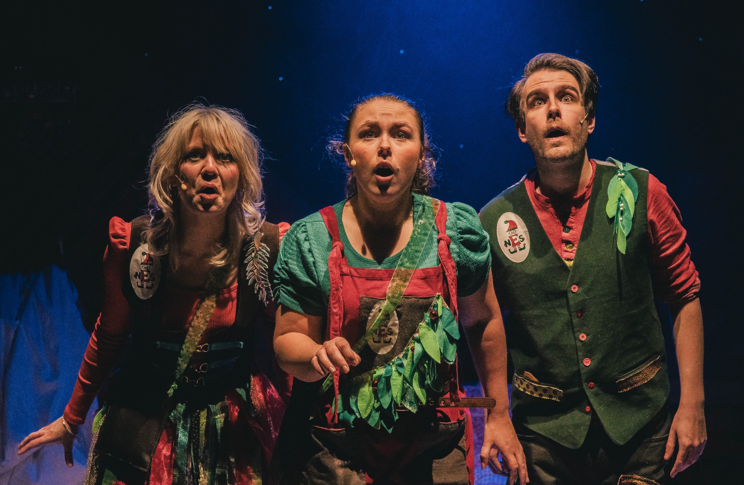 The Elves and the Shoemaker: Save Christmas Programme