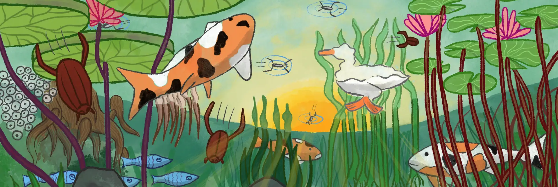 Musical Journeys: A Day at the Pond / Mausam
