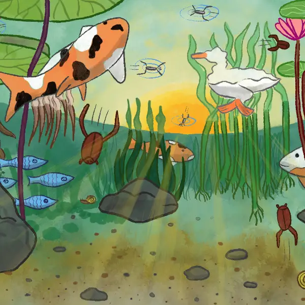 Musical Journeys: A Day at the Pond / Mausam
