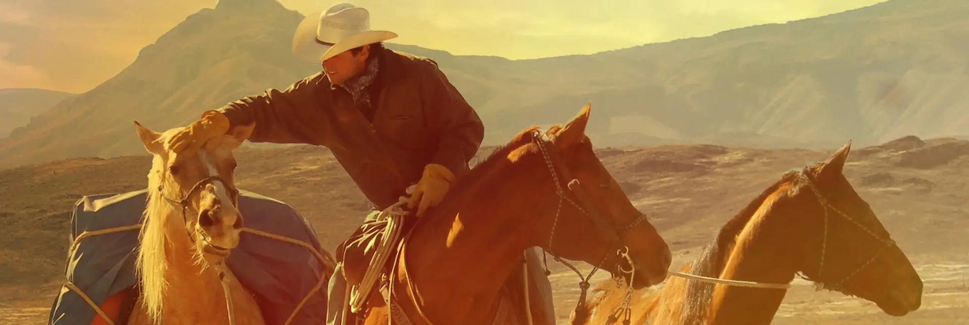 The Long Rider