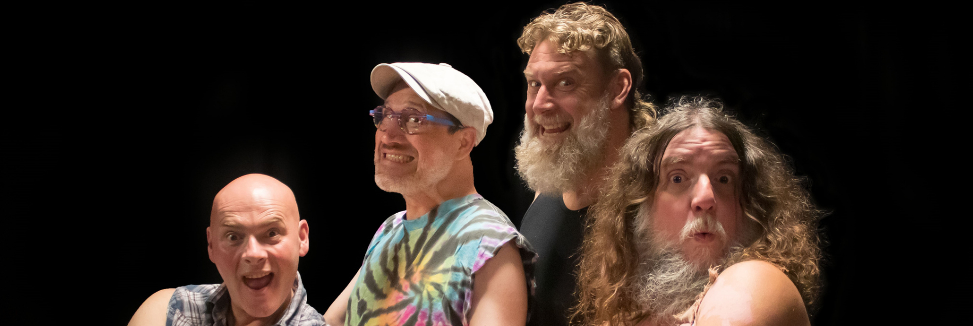 Hayseed Dixie