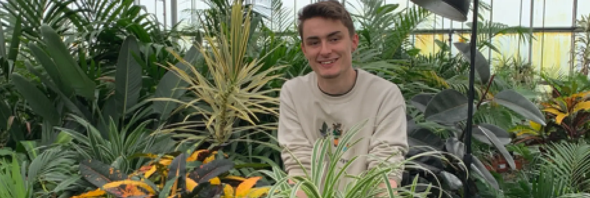 The Houseplant Doctor