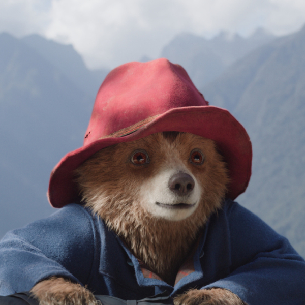 Paddington in Peru