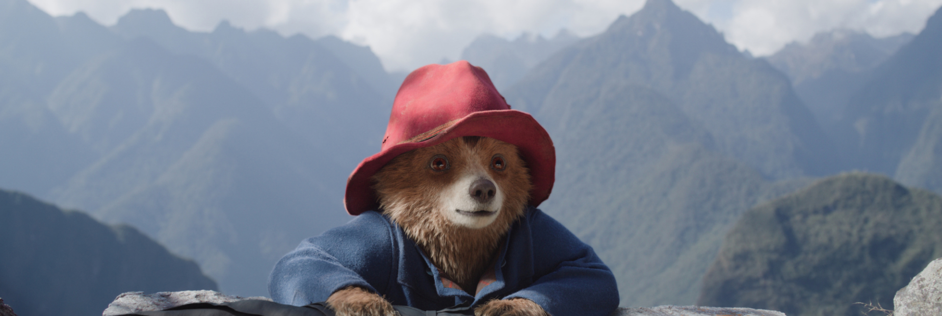 Paddington in Peru