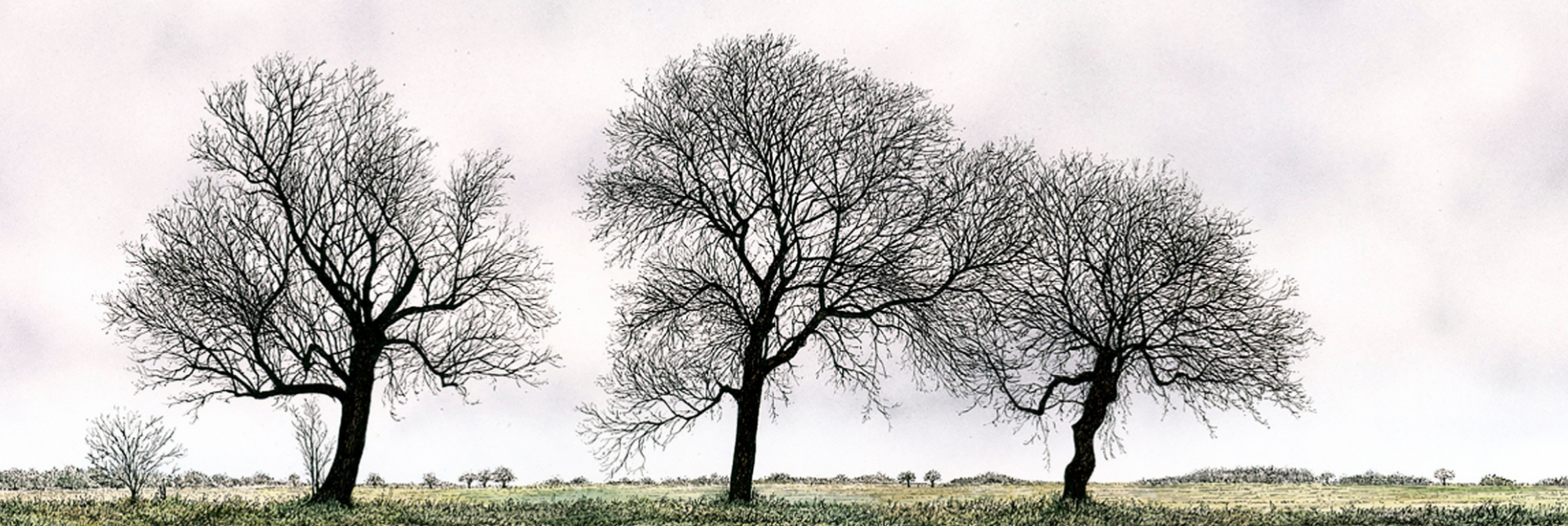 Earth and Sky. Winter in the East Riding by Simon Wilcox