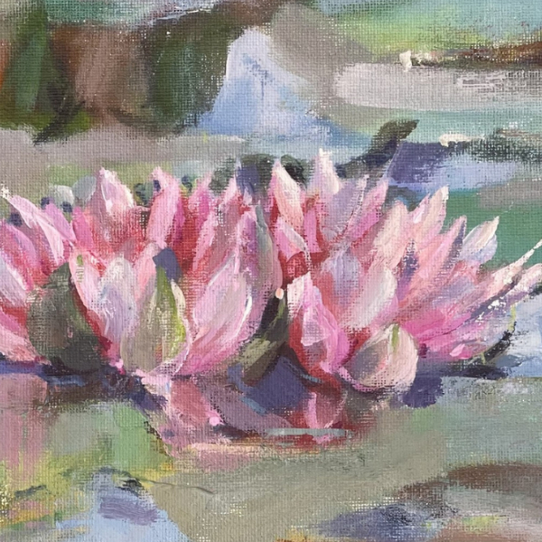 Waterlilies At Burnby Hall Gardens – A Celebration