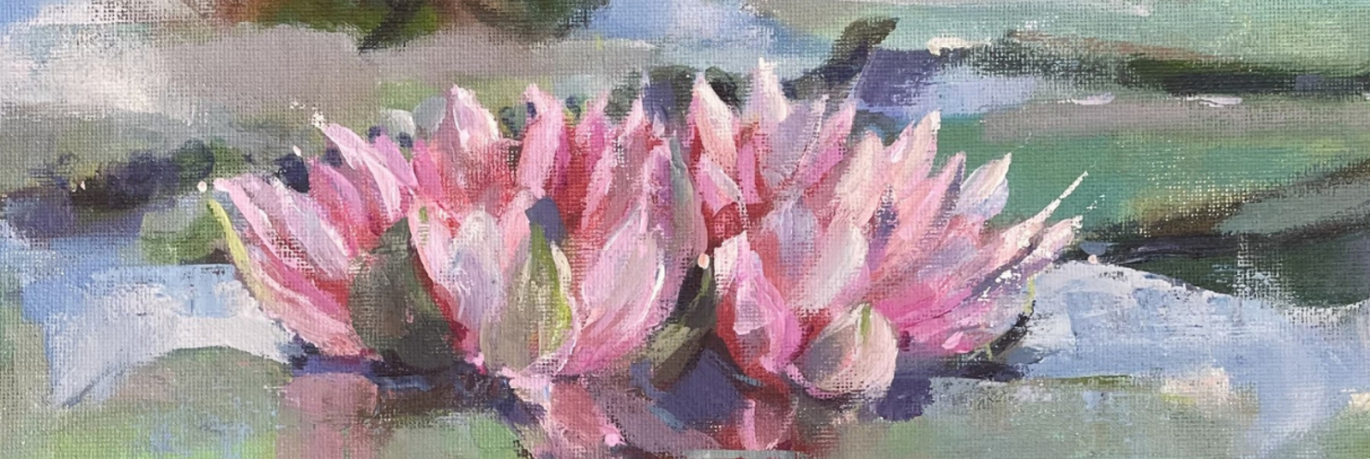 Waterlilies At Burnby Hall Gardens – A Celebration
