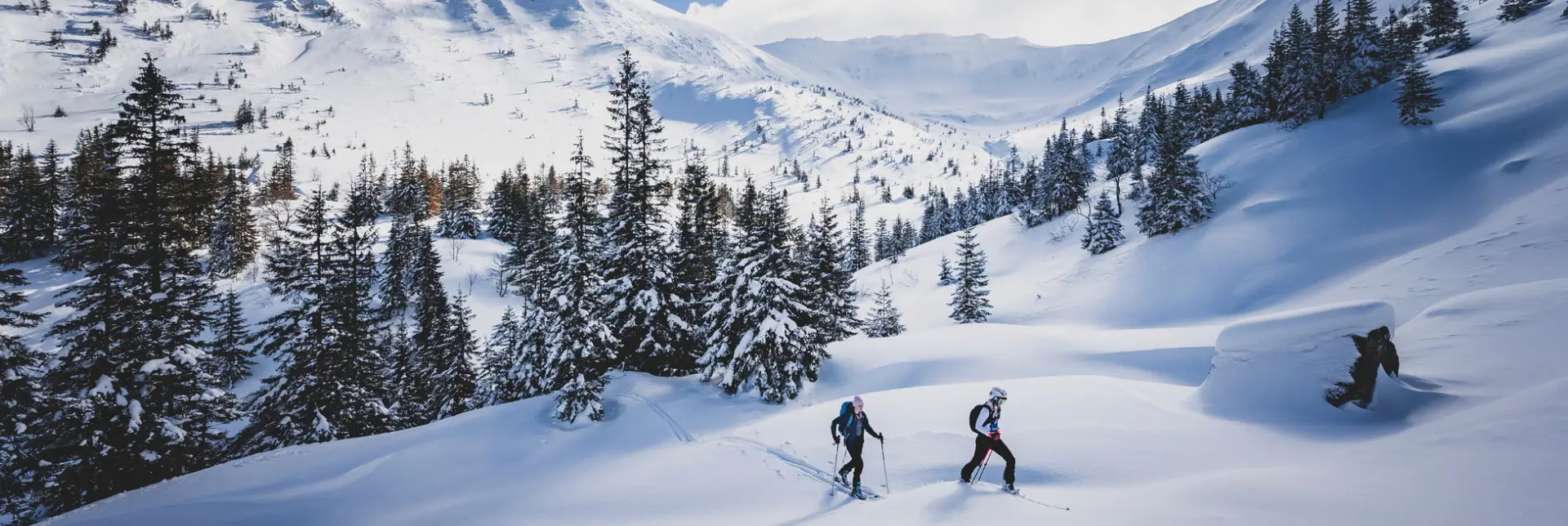 Kendal Mountain Tour 2026