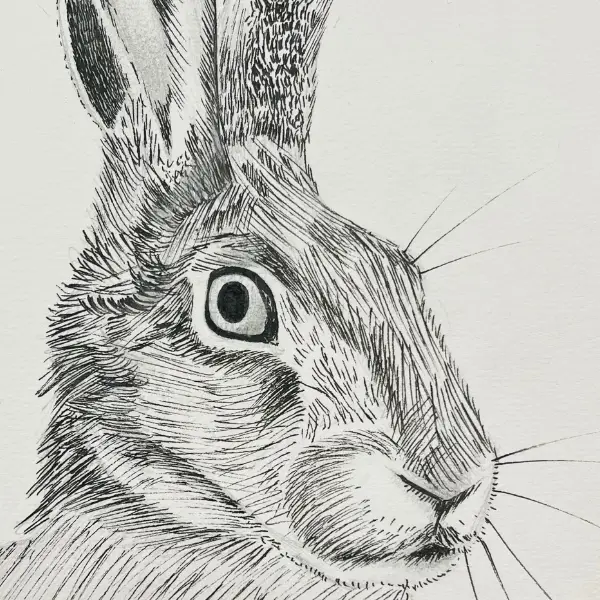 Draw More – Art Exhibition