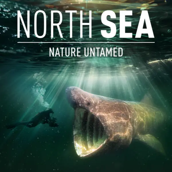 POC-DOCS Presents: North Sea, Nature Untamed POC-DOCS Presents: North Sea, Nature Untamed